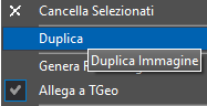Duplicazione immagine